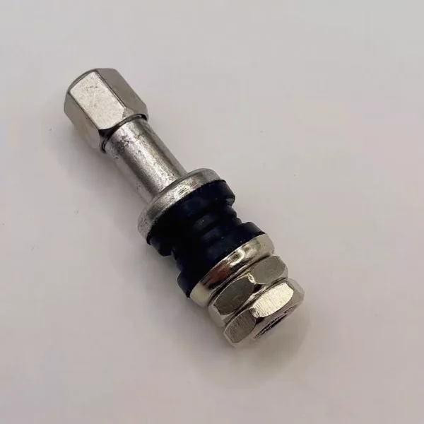 sg-11134253-824hn-mf8aog9preoa78.webp Tubeless Valve Nut TR161 TR48E Stainless Steel Tire Valve Cap Durable Anti Rust Easy Install for Motorcycle Car Tyre Ready Stock Malaysia