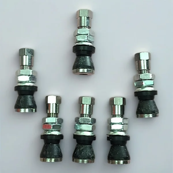 sg-11134253-824j0-meggbwi4wmx3a5.webp Tubeless Valve Nut TR161 TR48E Stainless Steel Tire Valve Cap Durable Anti Rust Easy Install for Motorcycle Car Tyre Ready Stock Malaysia